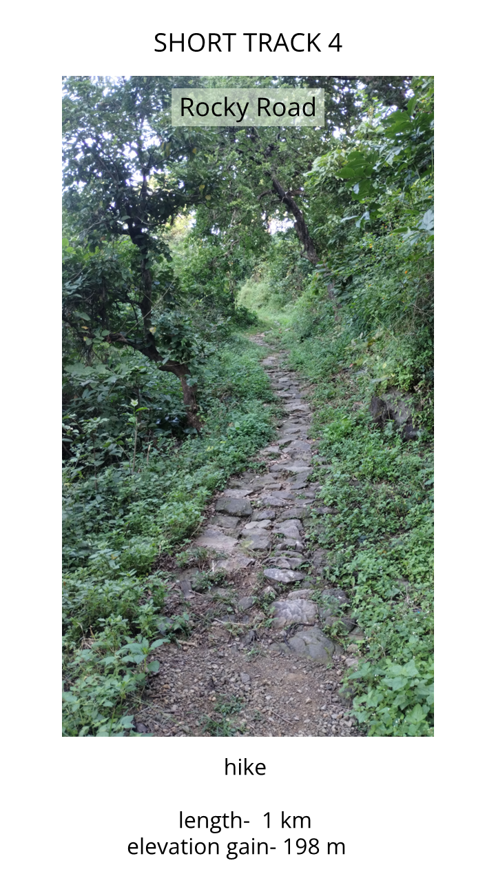 Slide4